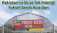 PAKİSTAN'IN İLK VE TEK FİDELİĞİ YUKSEL SEEDS ASIA'DAN!